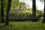 tannenfeld-sommer 2012-029